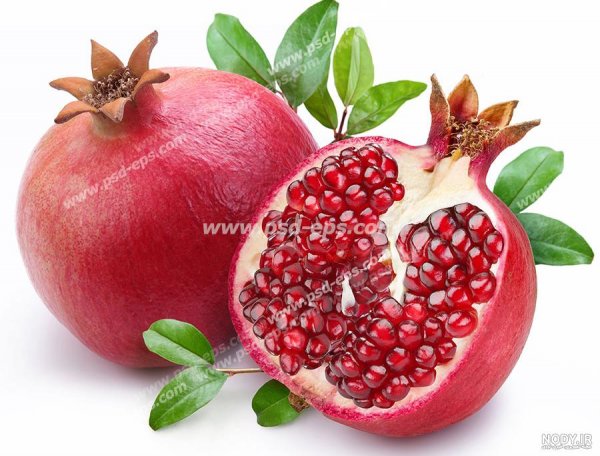  عکس انار پاییزی