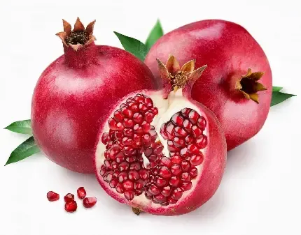  عکس انار نقاشی