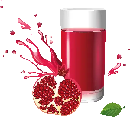  عکس انار نقاشی