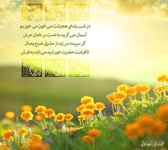  پروفایل یلدا امام زمانی
