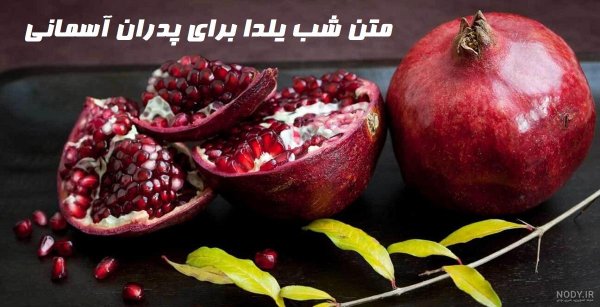  پروفایل یلدا امام زمانی