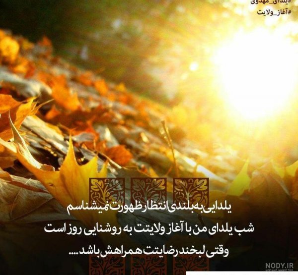  پروفایل یلدا امام زمانی