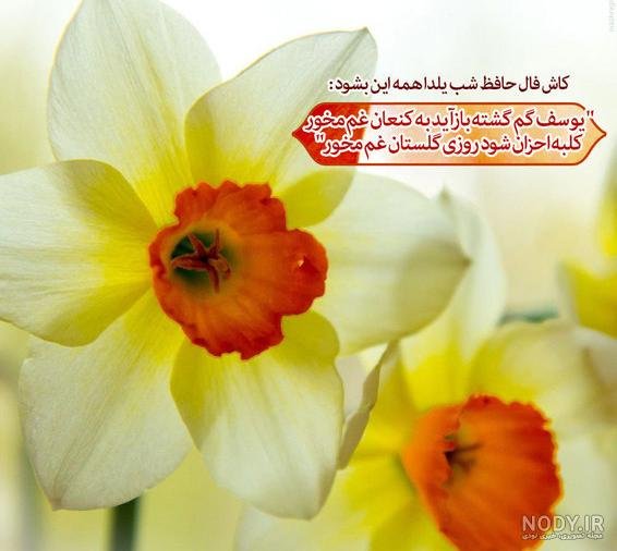 پروفایل یلدای مذهبی