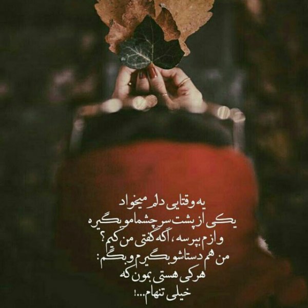  180 عکس زیبا برای شب یلدا