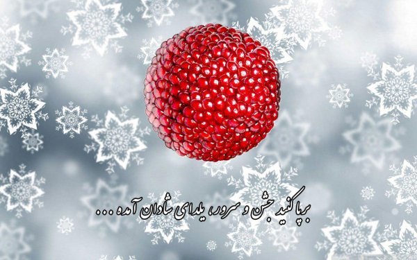  180 عکس زیبا برای شب یلدا