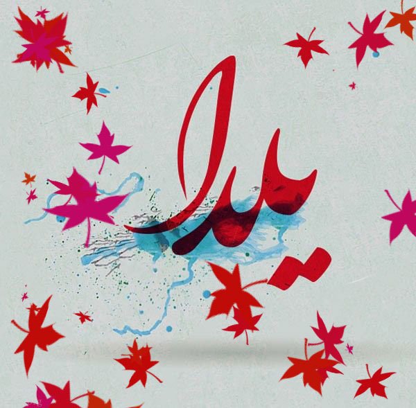 عکس در مورد شب یلدا