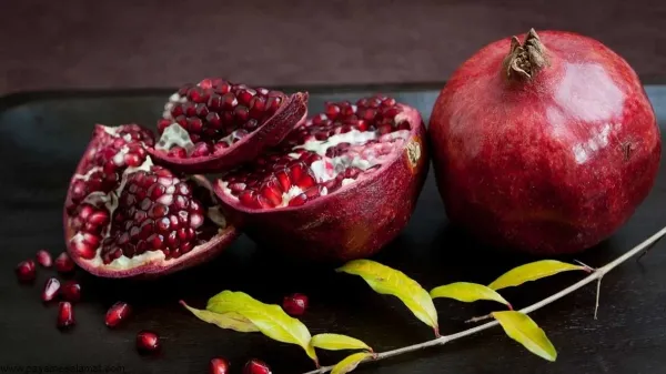 عکس در مورد شب یلدا