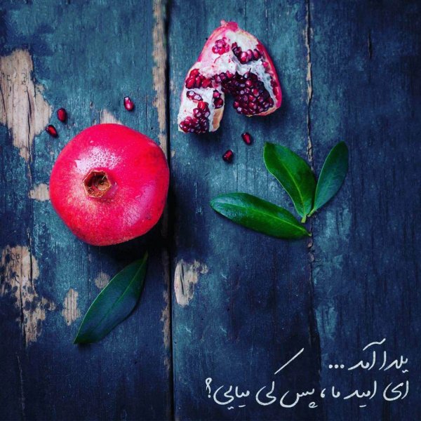  عکس در مورد شب یلدا
