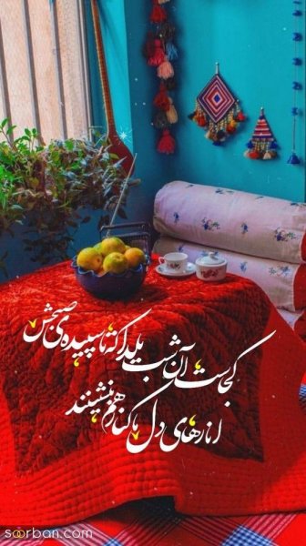  66 عکس یلدایی