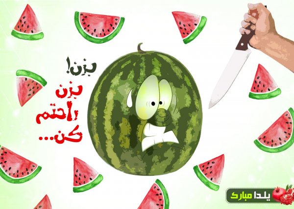  عکسهای شب یلدا