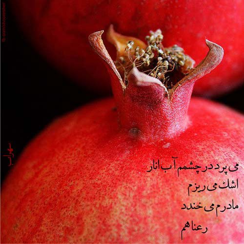  عکسهای شب یلدا