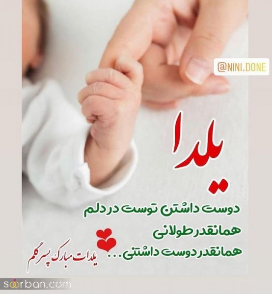 عکس پروفایل برای شب یلدا جدید