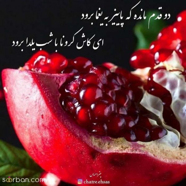  عکس پروفایل برای شب یلدا جدید