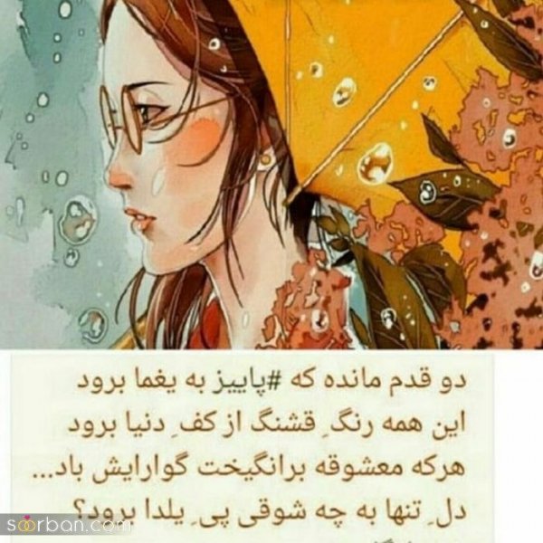  عکس شب یلدا بدون چهره