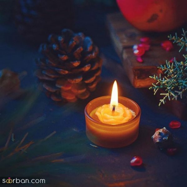  عکس شب یلدا بدون چهره