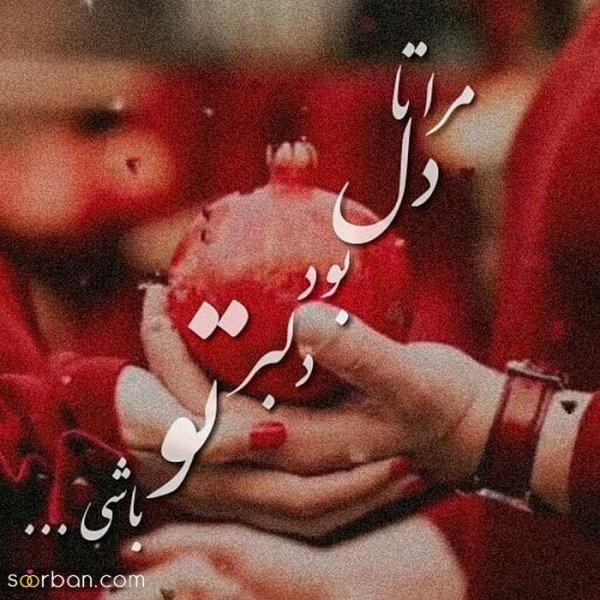  عکس شب یلدا بدون چهره