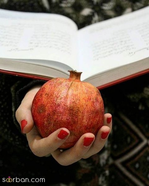  عکس شب یلدا بدون چهره