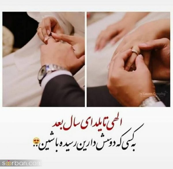 عکس شب یلدا بدون چهره