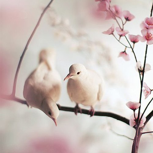  عکس چهره پروفایل