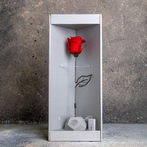  عکس ولنتاین کادو