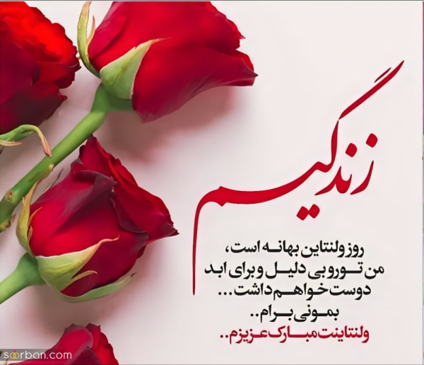 عکس استوری ولنتاین