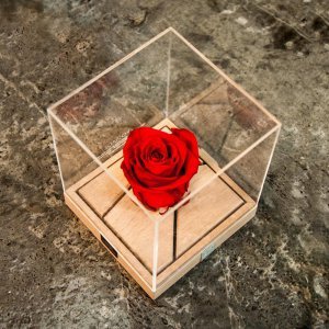  عکس کادو ولنتاین لاکچری