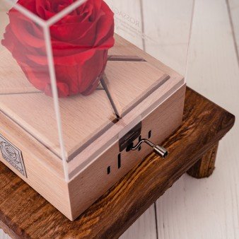  عکس کادو ولنتاین برای دختر