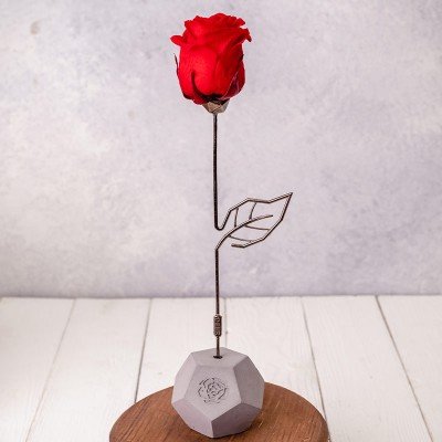  عکس کادو ولنتاین برای دختر