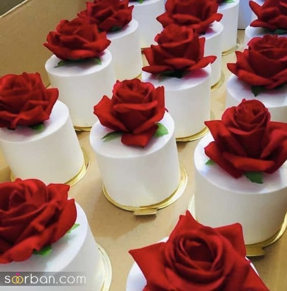  ژست عکس ولنتاین با کیک