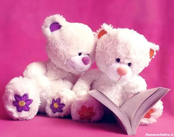  عکس خرس فانتزی بامزه