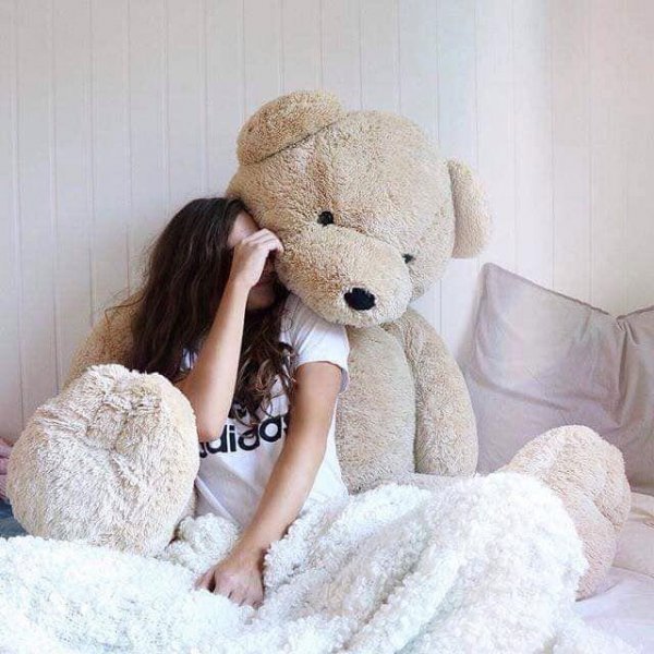  عکس خرس برای پروفایل