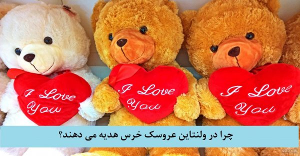  عکس خرس عروسکی