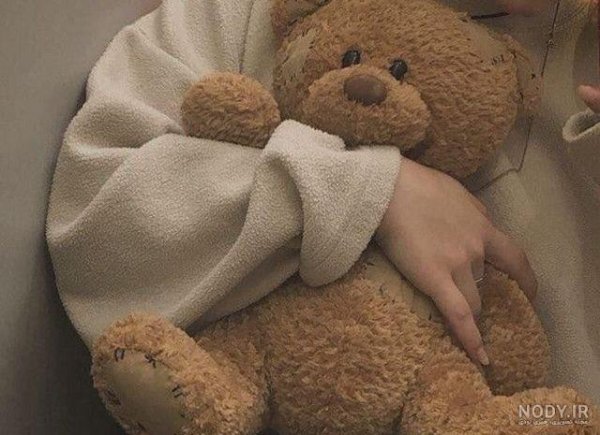  عکس خرس عروسکی بزرگ