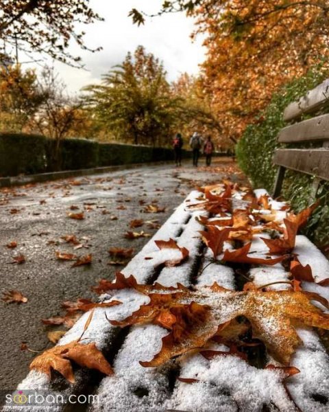  ژست عکس برفی عاشقانه