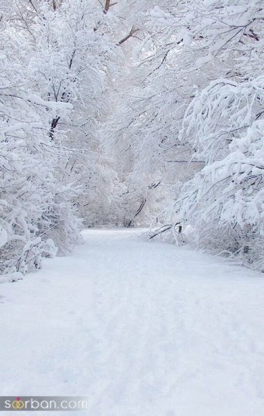  عکس برف واقعی برای پروفایل