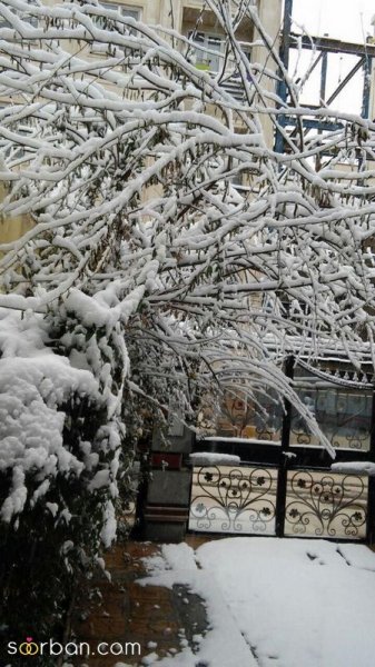  عکس برف واقعی برای پروفایل