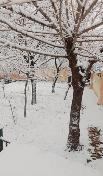  عکس پروفایل زمستانی لاکچری