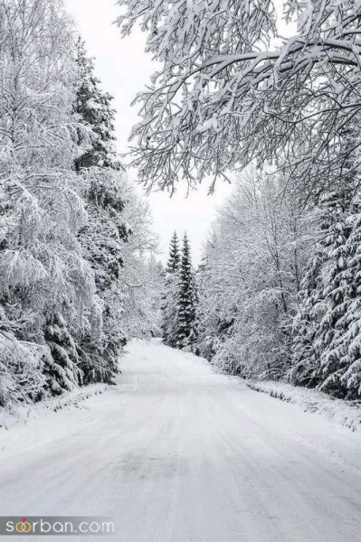  عکس برف زیاد