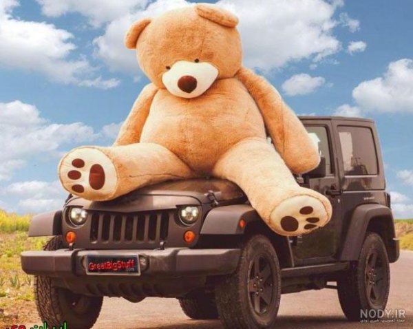  ایده عکاسی با عروسک بزرگسال