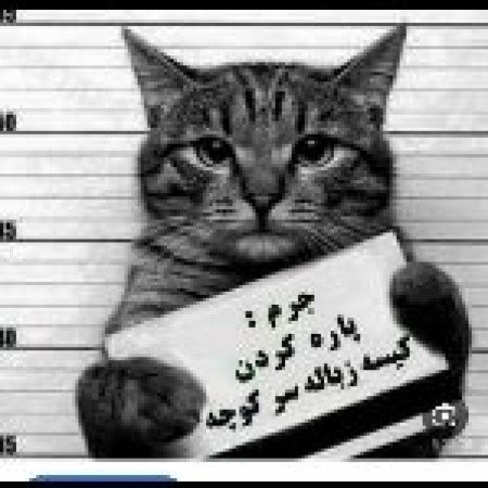  عکس سه کله پوک کیوت