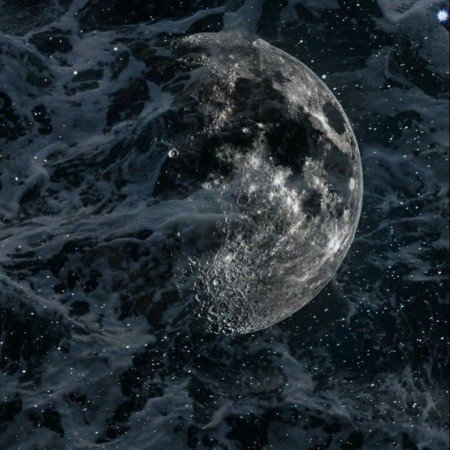  عکس سه کله پوک کیوت