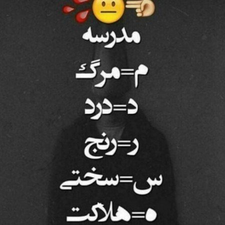  عکس سه خرس کله پوک برای پس زمینه
