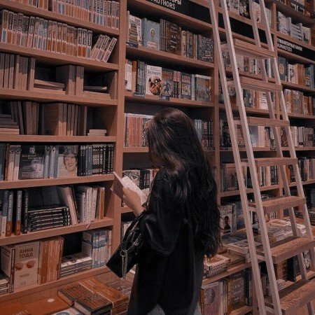 عکس سه خرس کله پوک برای پس زمینه