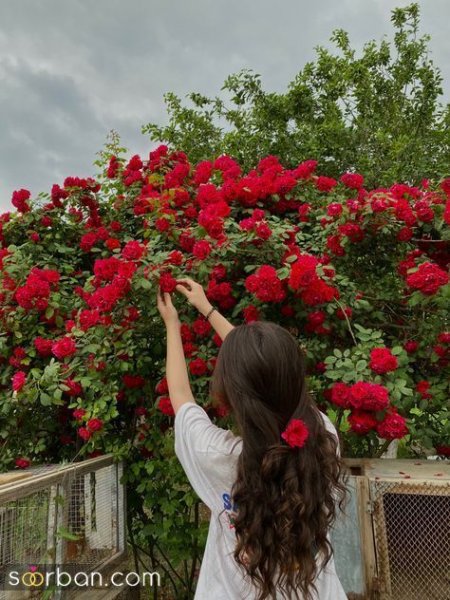 ژست عکس با گل در طبیعت