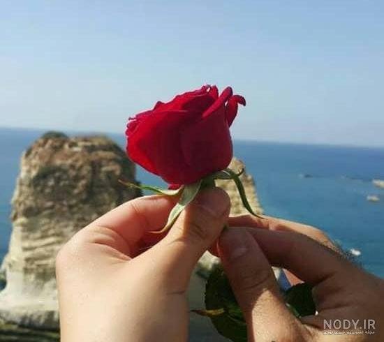  ژست عکس با شاخه گل