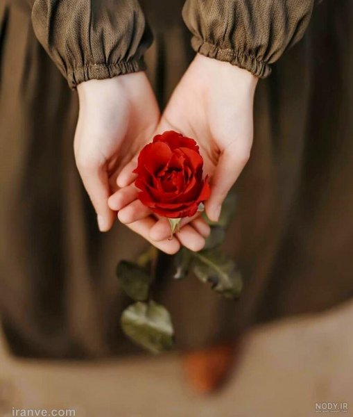  ژست عکس با شاخه گل