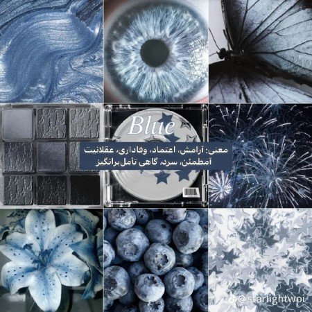  عکس پروانه ی آبی