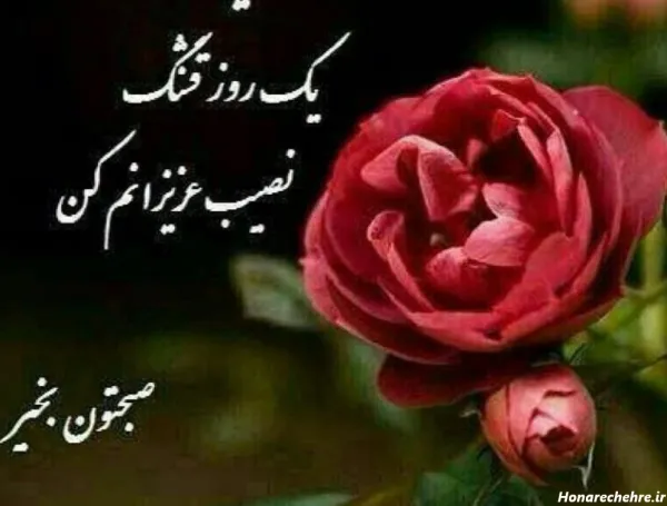  عکس صبح بخیر شنبه اول هفته