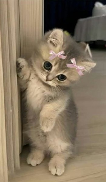  عکس دخترونه صورتی