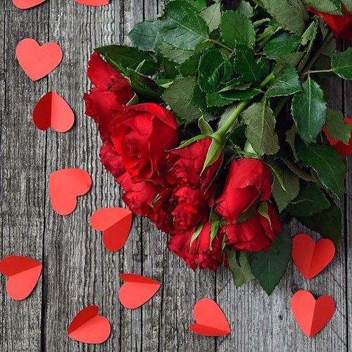  عکس گل رز قرمز مخملی برای پروفایل